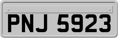 PNJ5923
