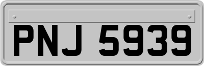 PNJ5939