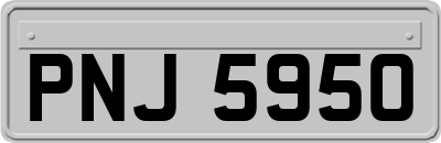 PNJ5950