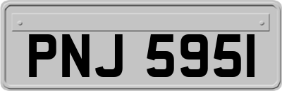 PNJ5951