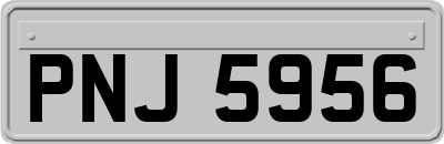 PNJ5956