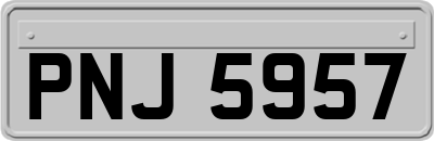 PNJ5957