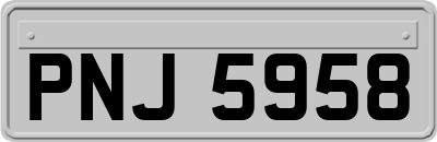 PNJ5958