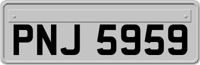 PNJ5959
