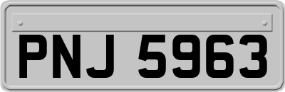 PNJ5963