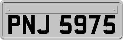 PNJ5975