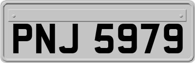 PNJ5979