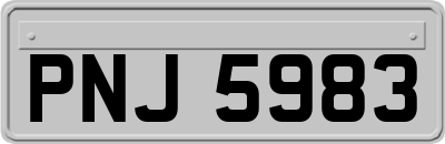 PNJ5983