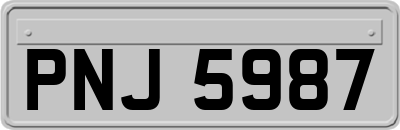PNJ5987