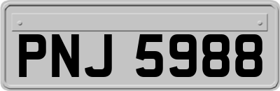 PNJ5988