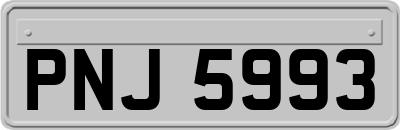 PNJ5993