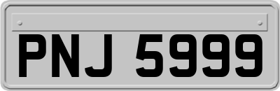 PNJ5999