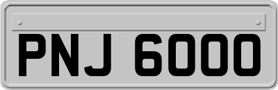 PNJ6000