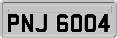 PNJ6004