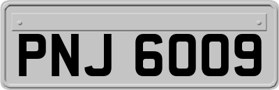 PNJ6009