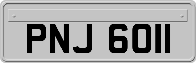 PNJ6011