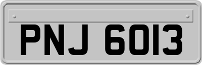 PNJ6013