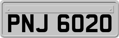 PNJ6020