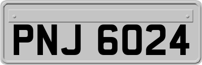 PNJ6024