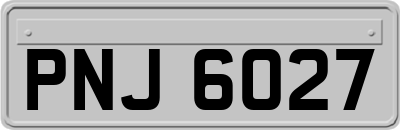 PNJ6027