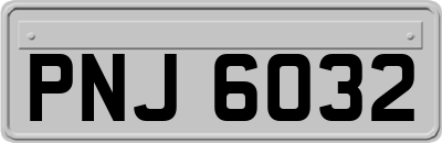 PNJ6032