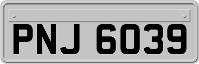 PNJ6039