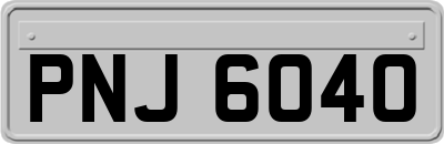 PNJ6040