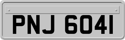 PNJ6041
