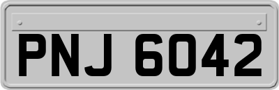 PNJ6042