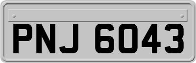 PNJ6043