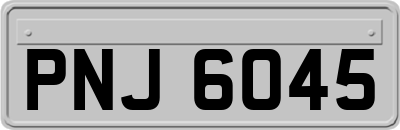 PNJ6045