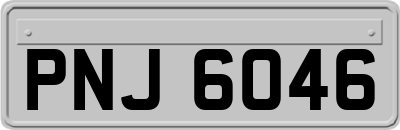 PNJ6046