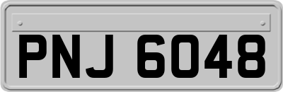 PNJ6048