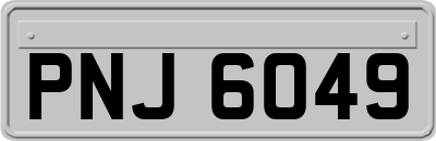 PNJ6049