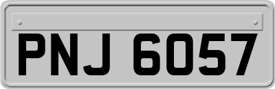 PNJ6057