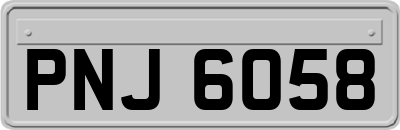 PNJ6058