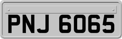 PNJ6065