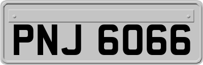 PNJ6066