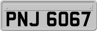 PNJ6067