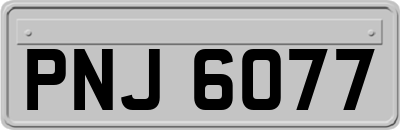 PNJ6077