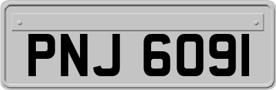 PNJ6091