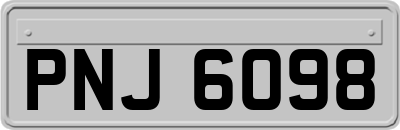PNJ6098