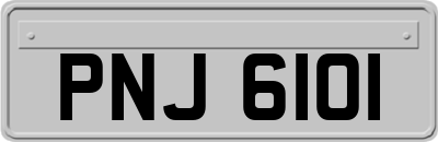 PNJ6101