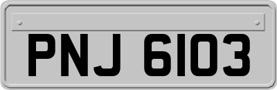 PNJ6103