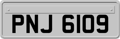 PNJ6109