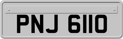 PNJ6110