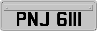 PNJ6111