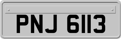 PNJ6113