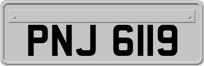 PNJ6119