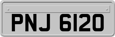 PNJ6120